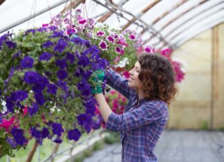 Jak uprawiać i pielęgnować naparstnicę purpurową – porady do ogrodu oraz przegląd najatrakcyjniejszych odmian