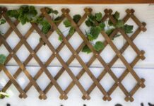 Podpory dla roślin pnących - wybór między konstrukcjami metalowymi, drewnianymi a plastikowymi