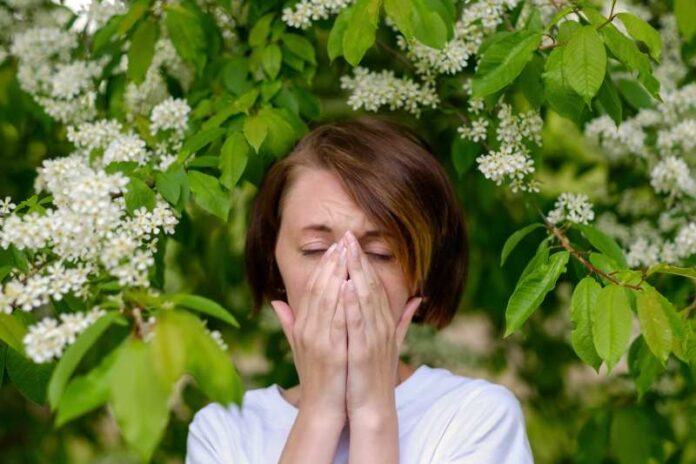 Diagnozowanie alergii na pyłki roślinne